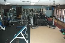 Freedom Fitness